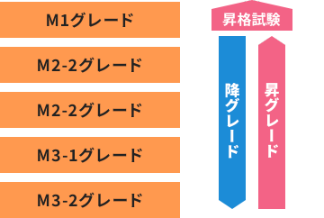 Mグレード（専門性発揮・醸成階層）